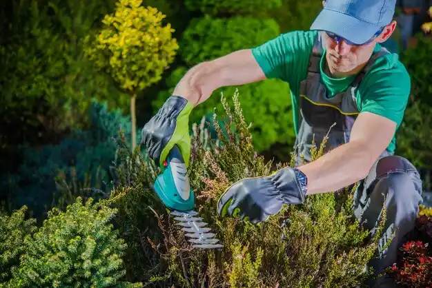 landscaping services Lake Fenton